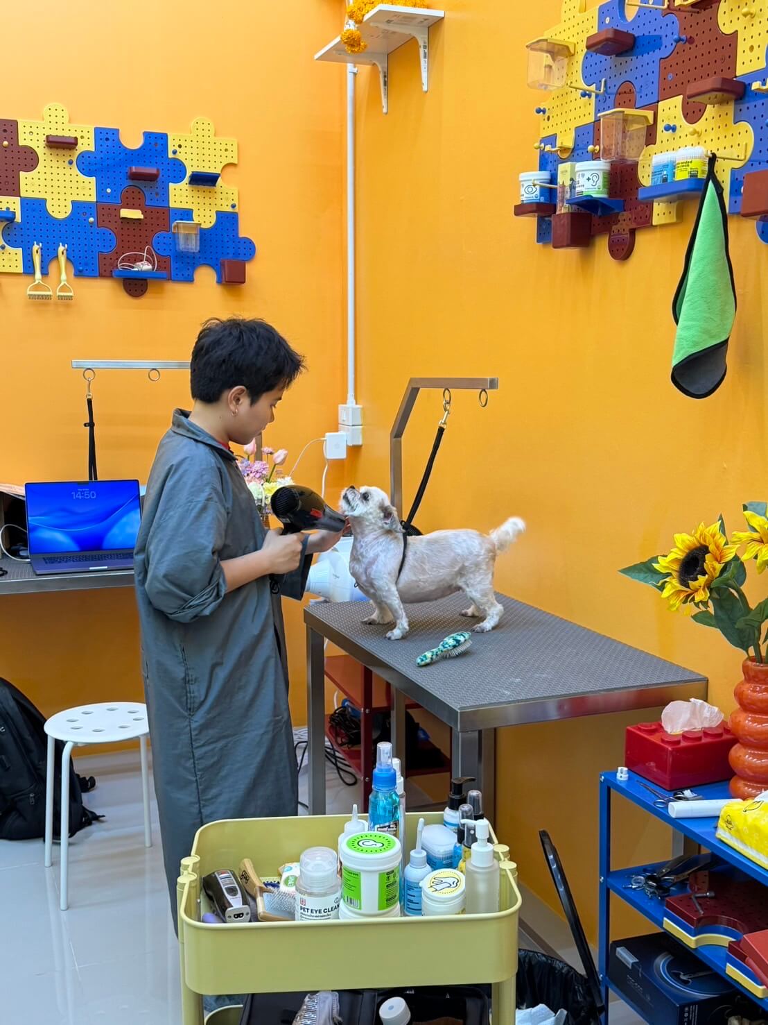 บริการตัดขน