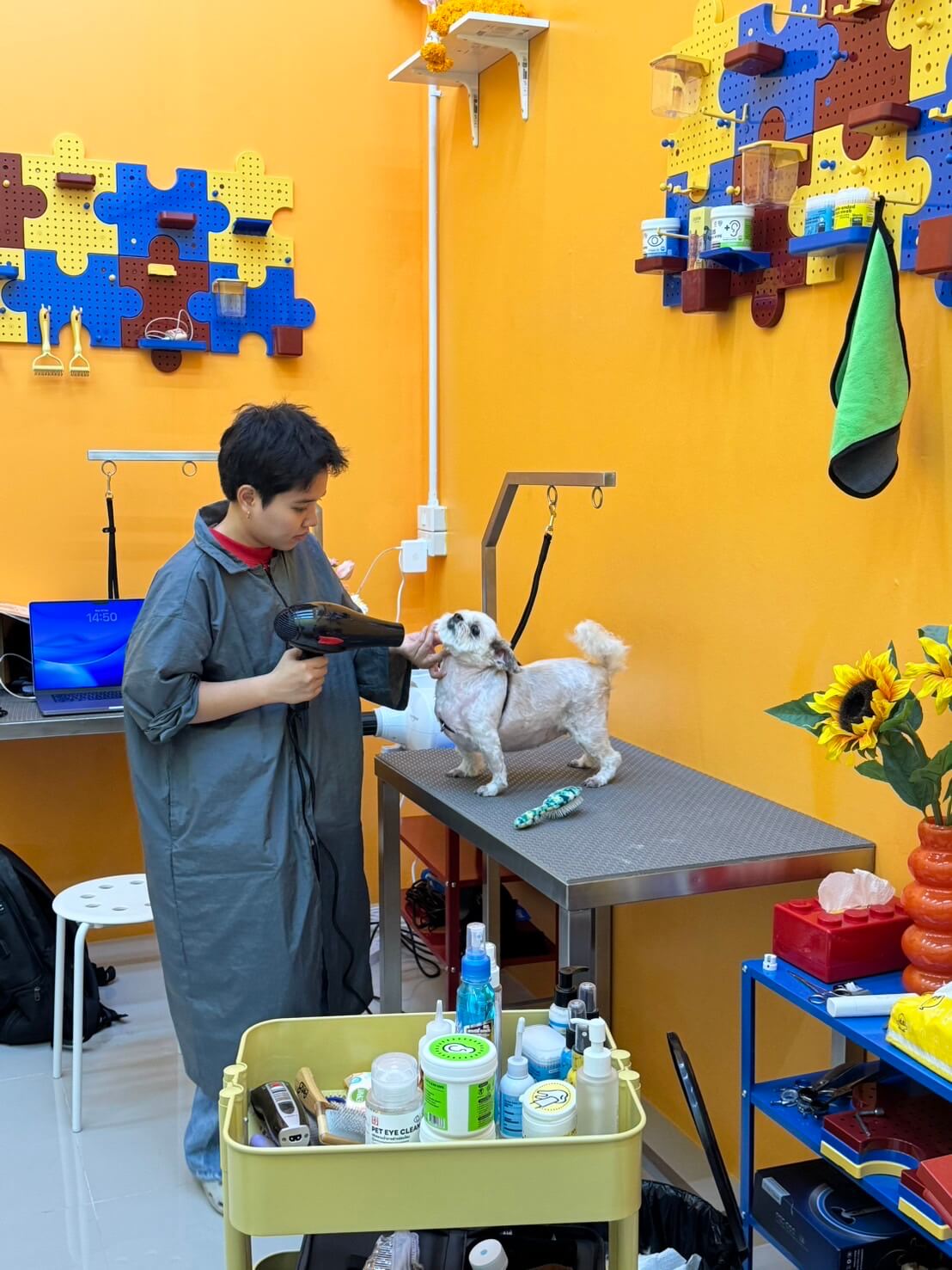 บริการเป่าขน